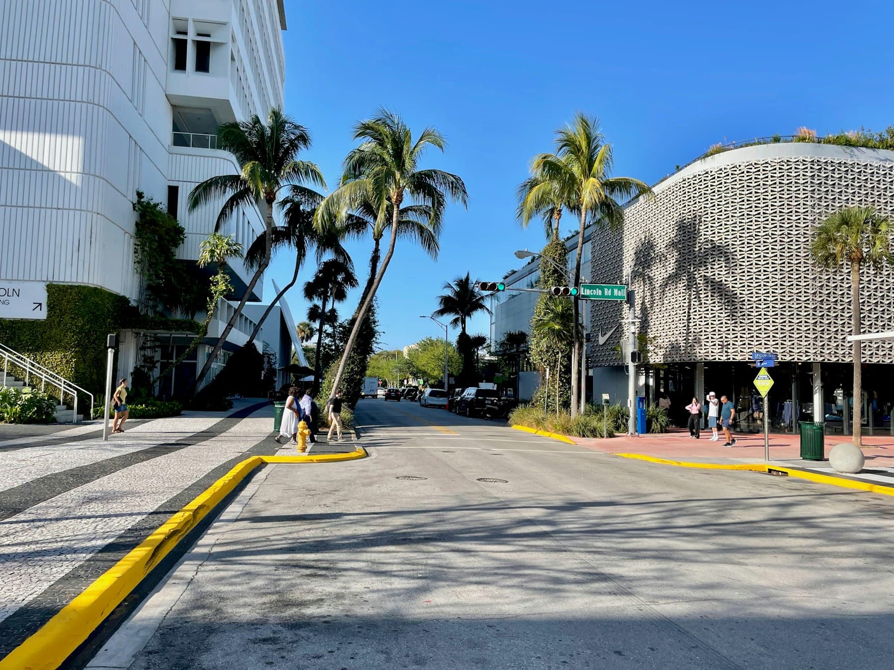 Palm-lined street in Coral Way, Miami